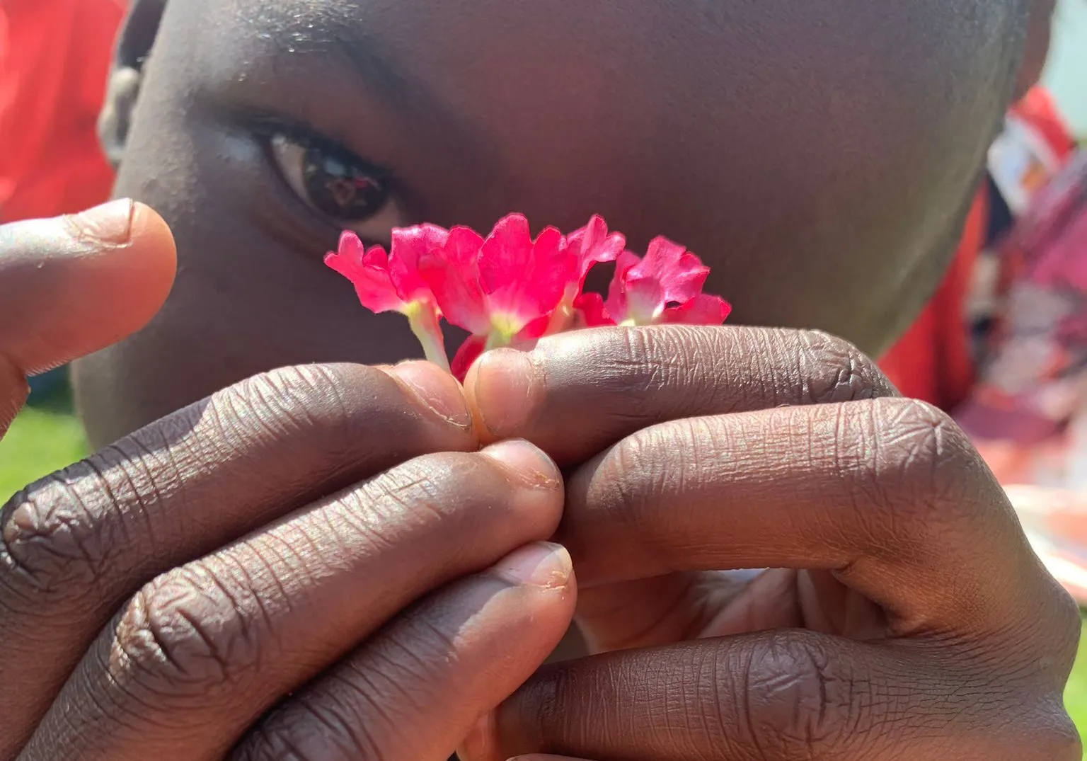 A child holding a pink flower